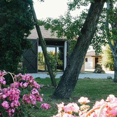 バニャカヴァッロ Agriturismo Palazzo Baldiniヴィラ エクステリア 写真
